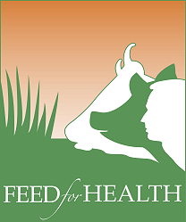 Feed Food